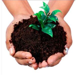 فواید کمپوست برای بهبود رشد گیاهان