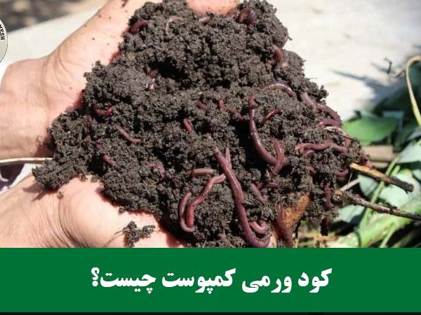 کود ورمی کمپوست چیست؟