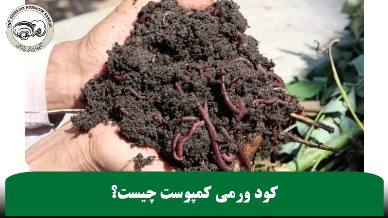 کود ورمی کمپوست چیست؟
