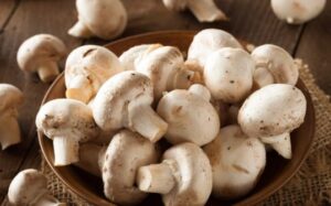 فواید قارچ خوراکی چیست؟