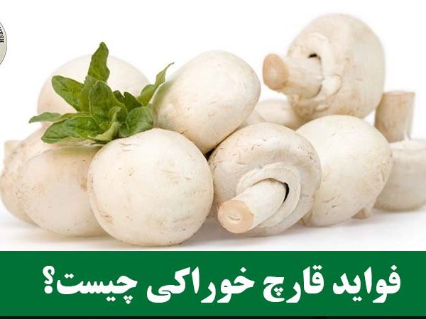 فواید قارچ خوراکی چیست؟