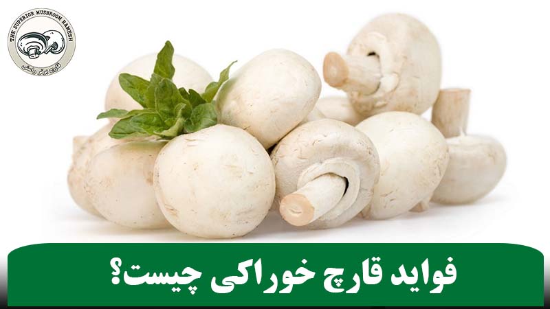 فواید قارچ خوراکی چیست؟