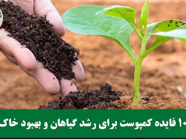 10 فایده کمپوست برای رشد گیاهان و بهبود خاک