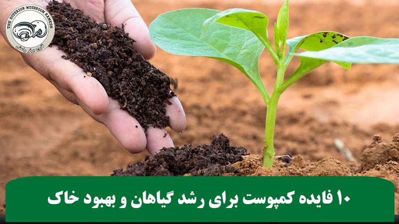 10 فایده کمپوست برای رشد گیاهان و بهبود خاک