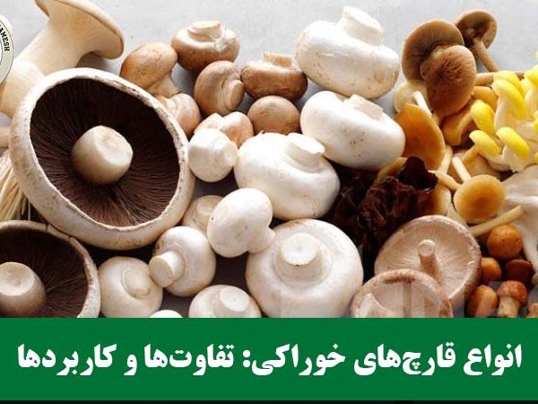 انواع قارچ‌های خوراکی: تفاوت‌ها و کاربردها