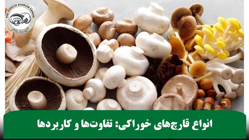 انواع قارچ‌های خوراکی: تفاوت‌ها و کاربردها