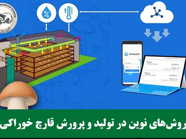 روش‌های نوین در تولید و پرورش قارچ خوراکی