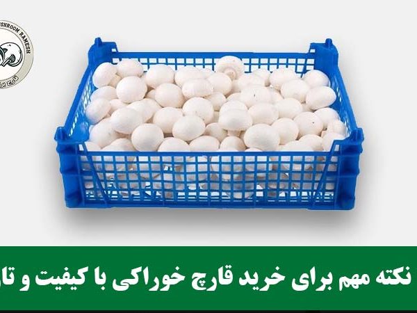 10 نکته مهم برای خرید قارچ خوراکی با کیفیت و تازه