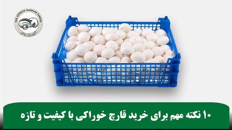 10 نکته مهم برای خرید قارچ خوراکی با کیفیت و تازه
