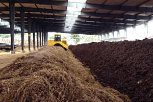 تفاوتهای کمپوست خانگی و صنعتی