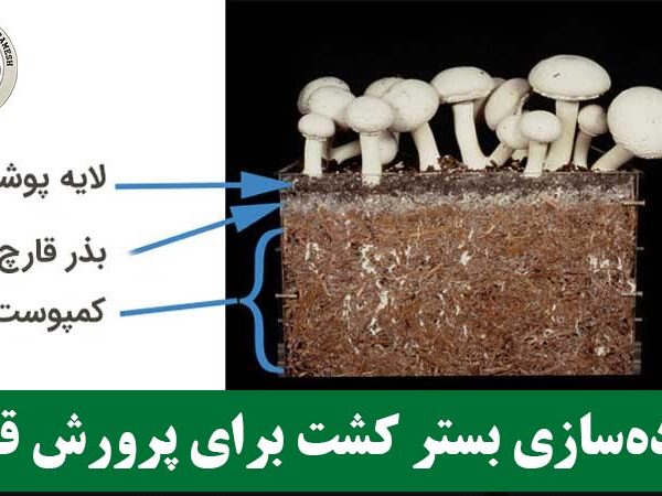 آماده‌سازی بستر کشت برای پرورش قارچ