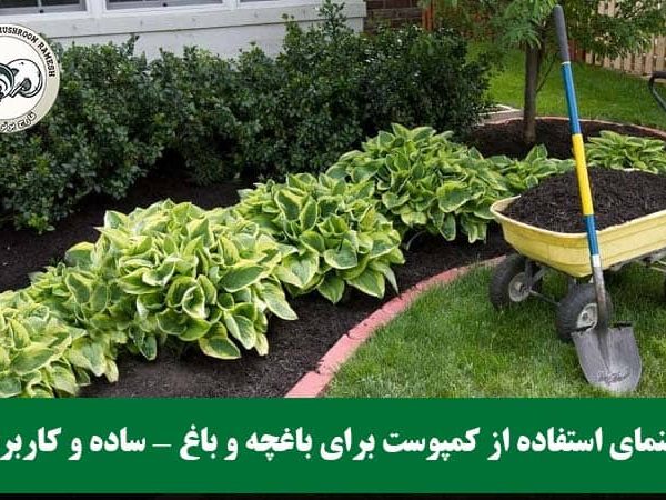 راهنمای استفاده از کمپوست برای باغچه و باغ