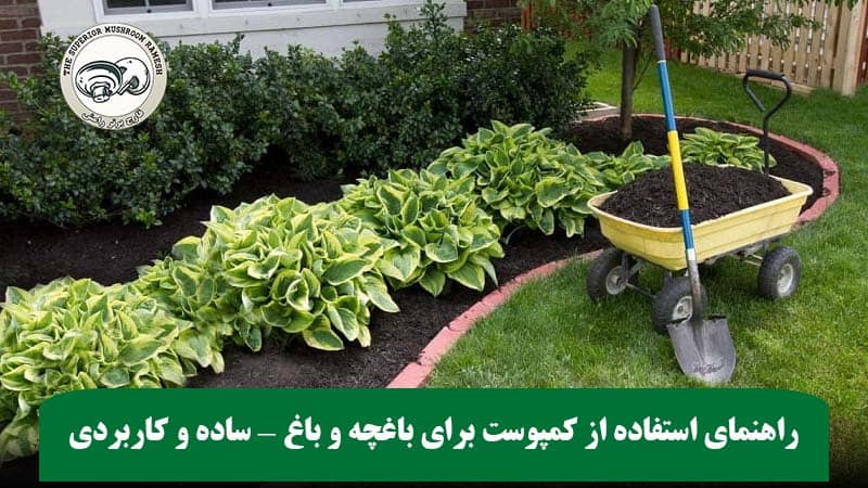 راهنمای استفاده از کمپوست برای باغچه و باغ