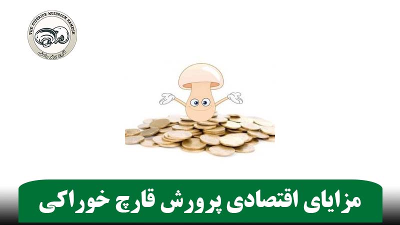 مزایای اقتصادی پرورش قارچ خوراکی
