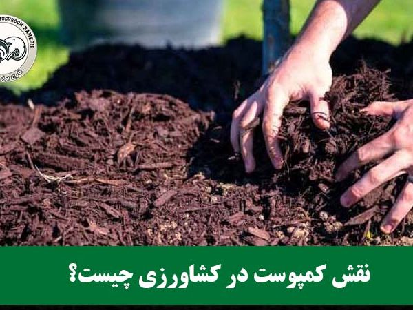 نقش کمپوست در کشاورزی چیست؟