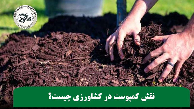 نقش کمپوست در کشاورزی چیست؟