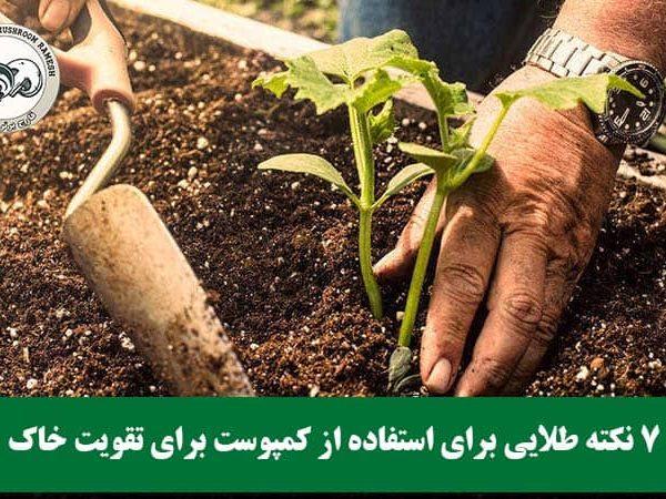 ۷ نکته طلایی برای استفاده از کمپوست برای تقویت خاک
