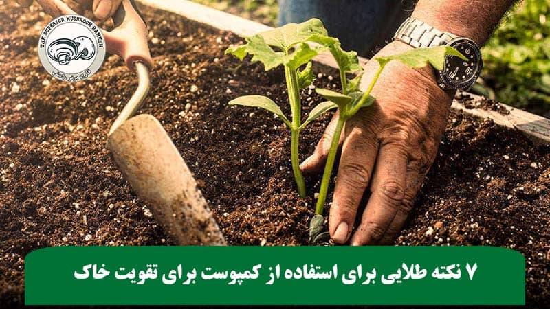 ۷ نکته طلایی برای استفاده از کمپوست برای تقویت خاک