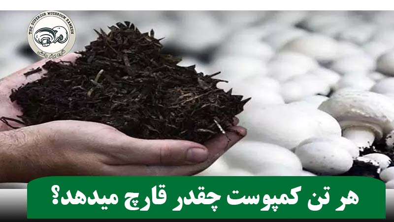هر تن کمپوست چقدر قارچ میدهد؟