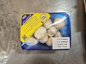 خرید قارچ خوراکی