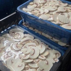 قارچ اسلایس ورقه ای